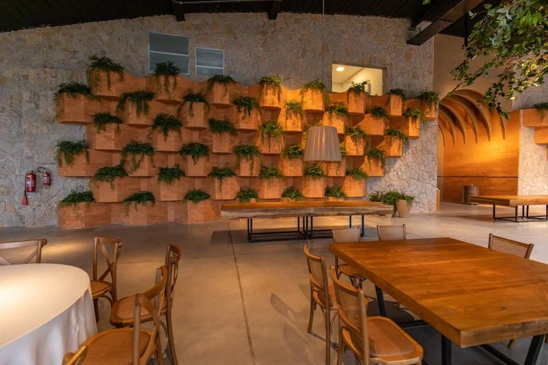 Ahşap masalar ve yeşil bitkilerle dekore edilmiş, doğal ışık alan samimi bir vegan restoran iç mekanı